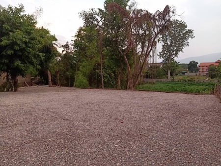 picture Land for rent (No sale) 558.80 sq.m plus river Ping side 400 sq.m - 4/6