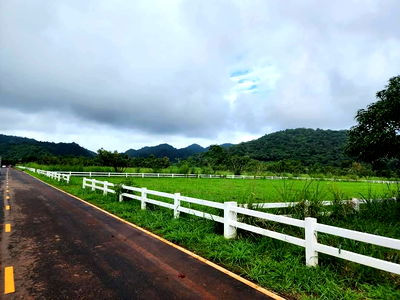 ที่ดิน ปากช่อง โคราช : ขายที่คลองม่วง ปากช่อง เขาใหญ่ 2 ไร่ วิวเขาสวยมาก ที่สูงบรรยากาศดี มีชุมชนเพื่อนบ้านตากอากาศ ไม่เปลี่ยว ใกล้เส้นหนองสาหร่าย เดินทางสะดวก 0879074045