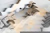 listing thumbnail image 20