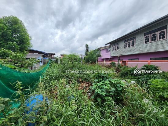 รูป ขายที่ดินเปล่า เพชรเกษม 48 หลังวัดจันทร์ 125 ตารางวา รถเก๋งเข้าไม่ได้ ขายเพียง 1.6 ล้าน รวมโอน - รูปที่ 1/20