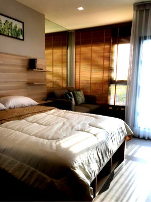 คอนโดให้เช่า : เช่าคอนโด Life Sukhumvit 62/ไลฟ์ สุขุมวิท 62 (E6808110)