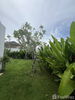 listing thumbnail image 33