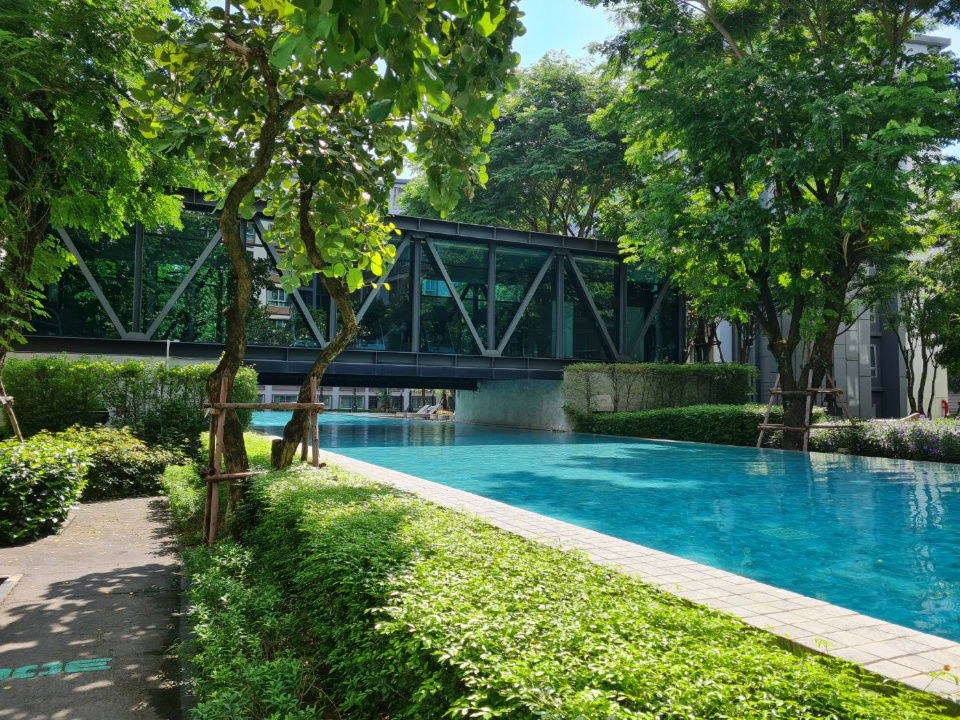 รูป ให้เช่าดีคอนโด พิงค์ (D condo ping) วิวสระว่ายน้ำ ใกล้เซ็นทรัลเฟสติวัล น่าอยู่ เดินทางสะดวก- RW006942 - รูปที่ 13/14