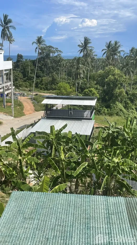 รูป ขาย บ้านเดี่ยว 2 ห้องนอน ใน มะเร็ต, สุราษฎร์ธานี 5700832 - รูปที่ 3/5