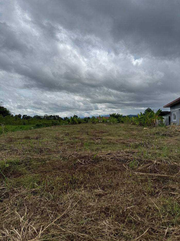 รูป ขายที่ดินเชียงราย ที่ดินเวียงป่าเป้า ที่ดินบ้านโป่ง บ้านสันหลวง 1ไร่ - รูปที่ 1/9