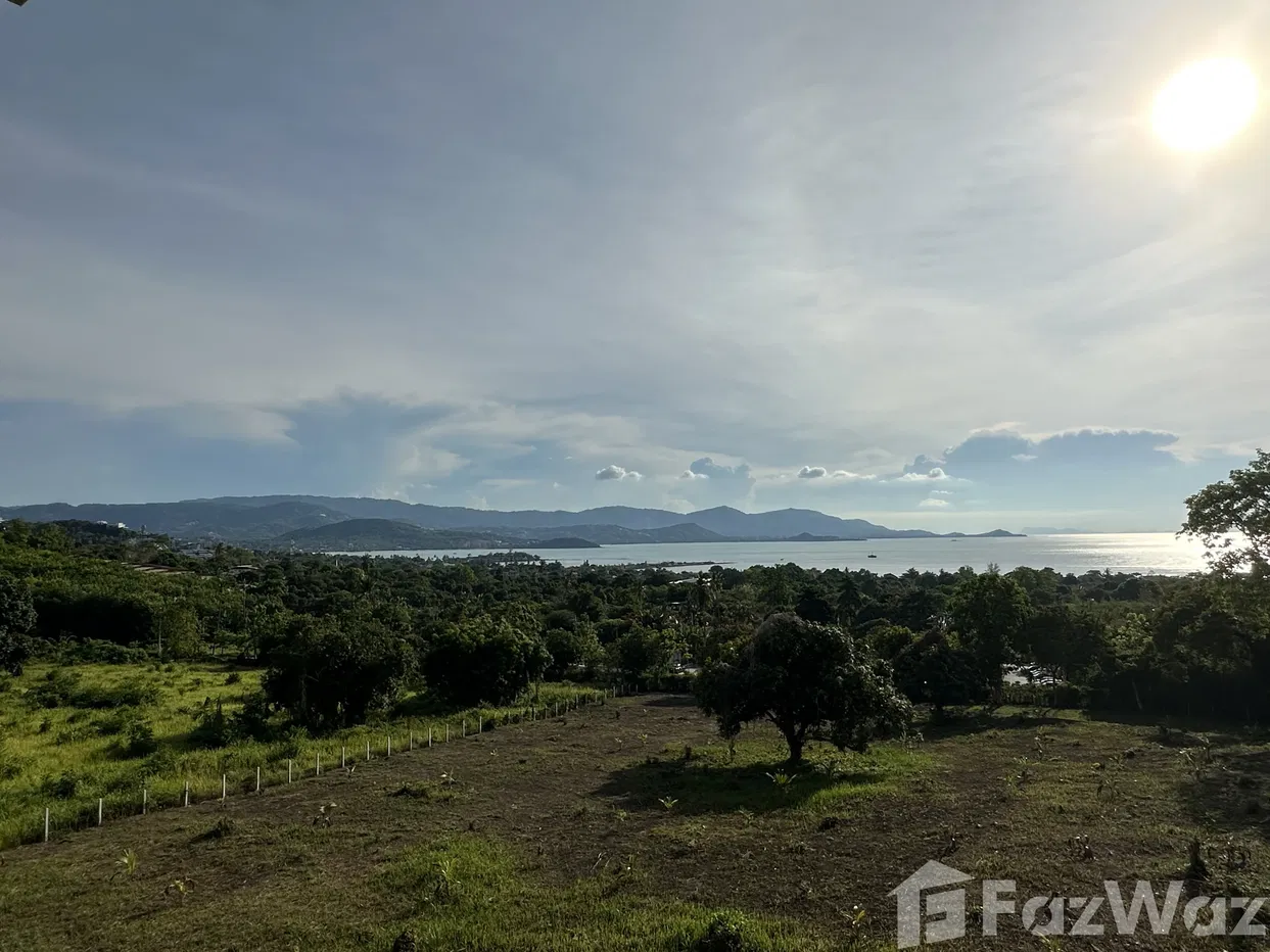 รูป วิลล่าให้เช่า 3 ห้องนอน ใน บ่อผุด, สุราษฎร์ธานี 1995413 - รูปที่ 13/20