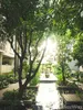 listing thumbnail image 22
