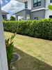 listing thumbnail image 21