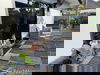 listing thumbnail image 24