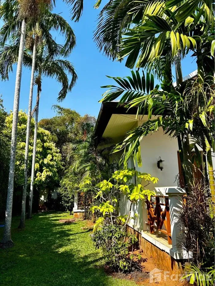 รูป บ้านเดี่ยวให้เช่า 3 ห้องนอน ในโครงการ บ้านหัวหิน 1839720 - รูปที่ 23/25