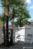 listing thumbnail image 8