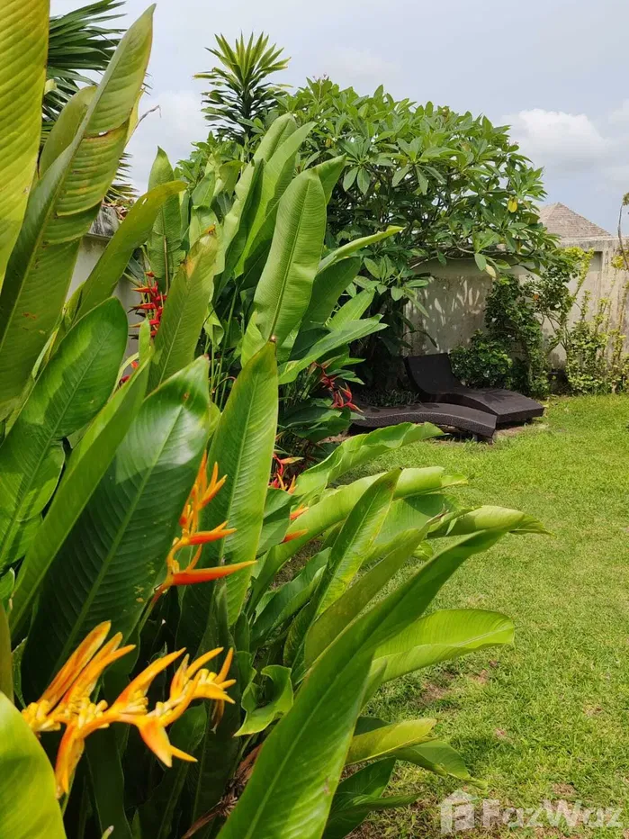 picture Renovated One Bedroom Private Pool Villa for Rent in Bangtao 1902867 - 49/54