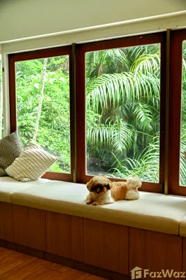 Houses for rent Airport Link Hua Mak : A vintage greenery home in the heart of the city 5575532
