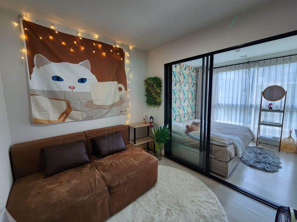 รูป 🎉Special room!🎉 ให้เช่าคอนโด ดิ เอ็กซ์เซล กรูฟ ลาซาล 52 อาคาร E ชั้น 7 1 ห้องนอน ขนาด 28.00 ตรม ใกล้ Big C ศรีนครินทร์ - รูปที่ 5/8
