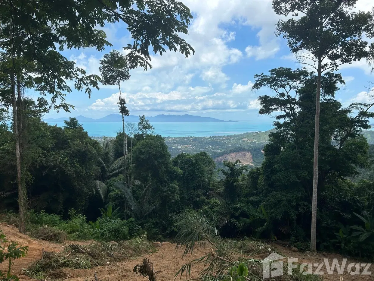 รูป ขาย วิลล่า 5 ห้องนอน ใน แม่น้ำ, สุราษฎร์ธานี 5690579 - รูปที่ 2/10