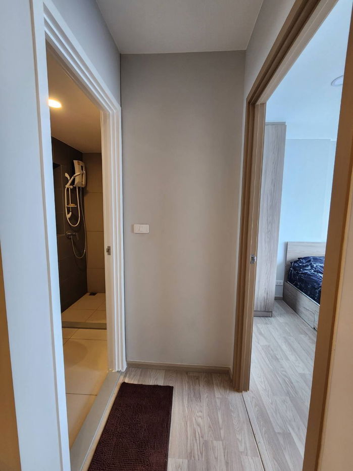 picture 💥CP-8901💥Plum Condo Sukhumvit 97.1  👉Line : @rentbkk - 6/11