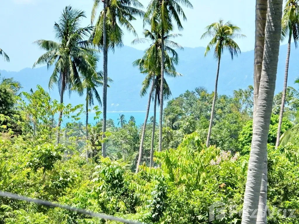 picture 3 Bedroom Villa for sale in Bo Phut, Surat Thani  160015 - 36/36