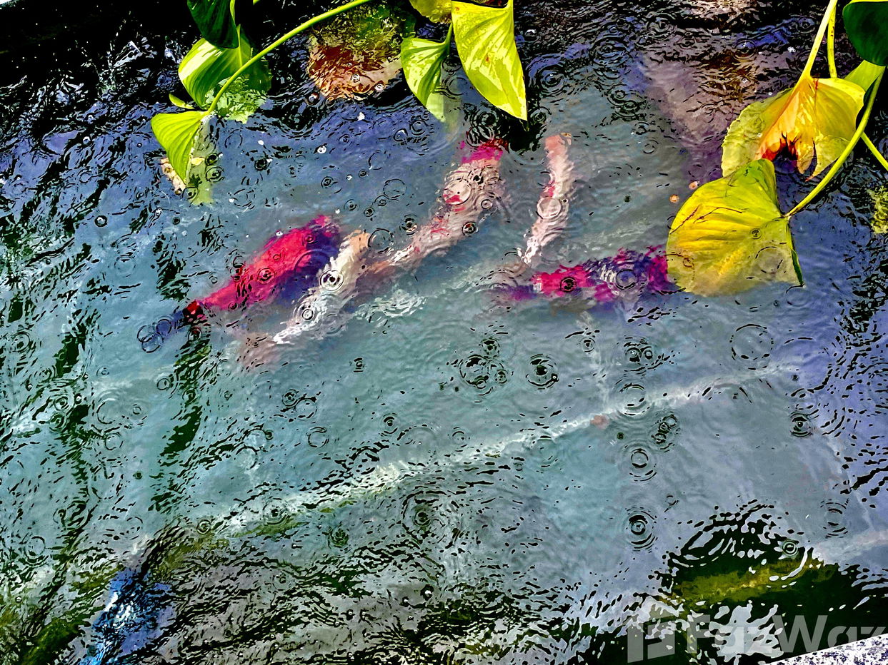 รูป วิลล่าให้เช่า 4 ห้องนอน ใน แม่น้ำ, สุราษฎร์ธานี 1930480 - รูปที่ 20/23