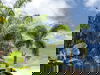 listing thumbnail image 32