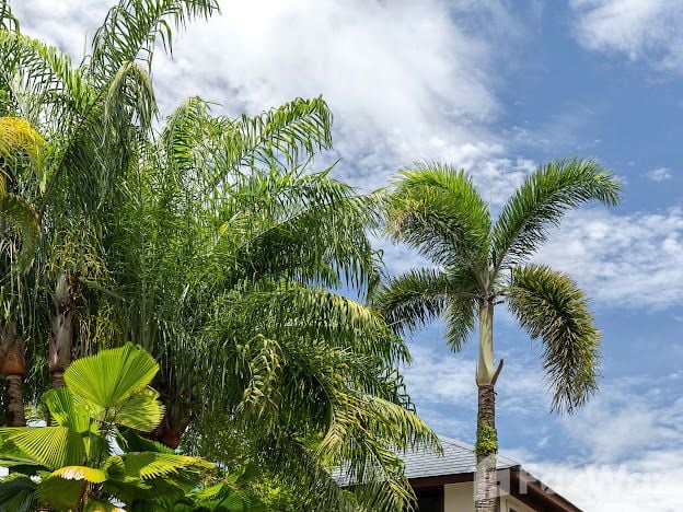 picture 4 Bedroom Villa for sale in Rawai, Phuket  5672295 - 33/35