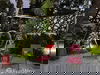 listing thumbnail image 11