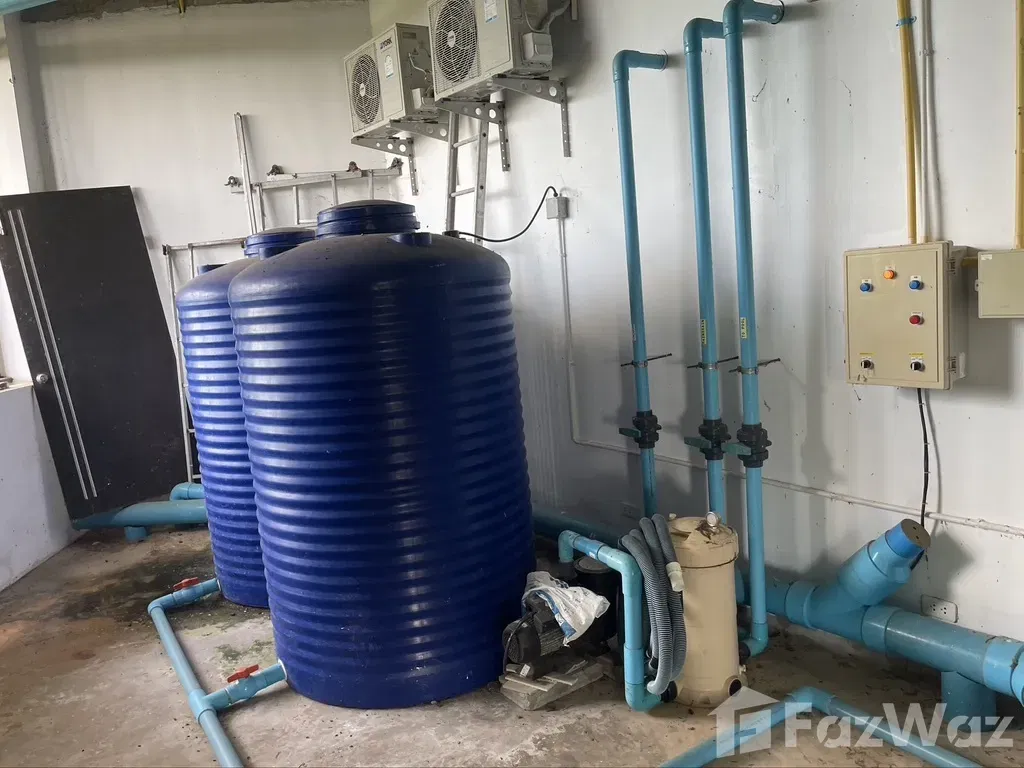 picture 5 Bedroom Villa for rent in Pa Khlok, Phuket 1857630 - 36/43