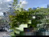 listing thumbnail image 31
