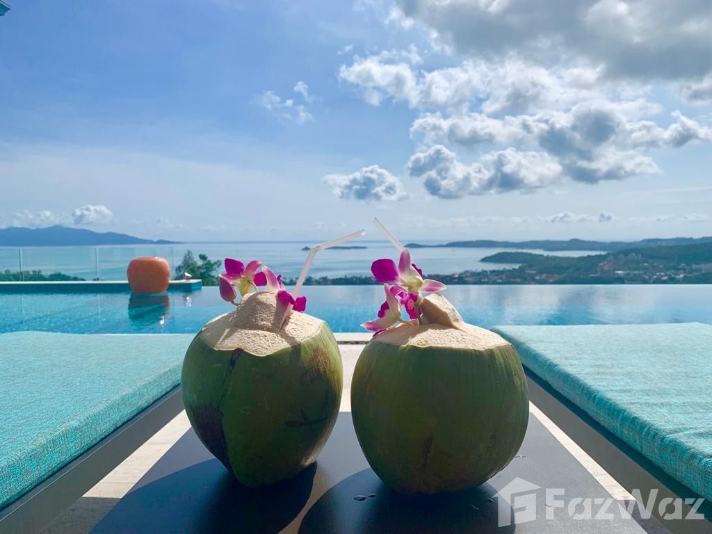 รูป วิลล่าให้เช่า 4 ห้องนอน ใน บ่อผุด, สุราษฎร์ธานี 5597268 - รูปที่ 13/32