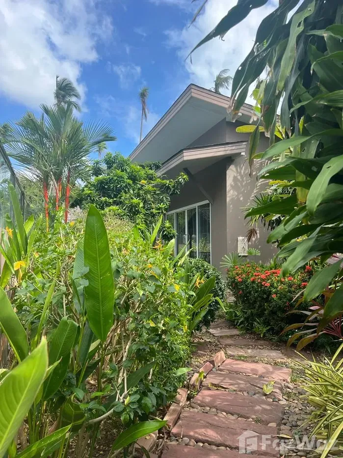 รูป ขาย วิลล่า 6 ห้องนอน ใน มะเร็ต, สุราษฎร์ธานี 1680566 - รูปที่ 21/22