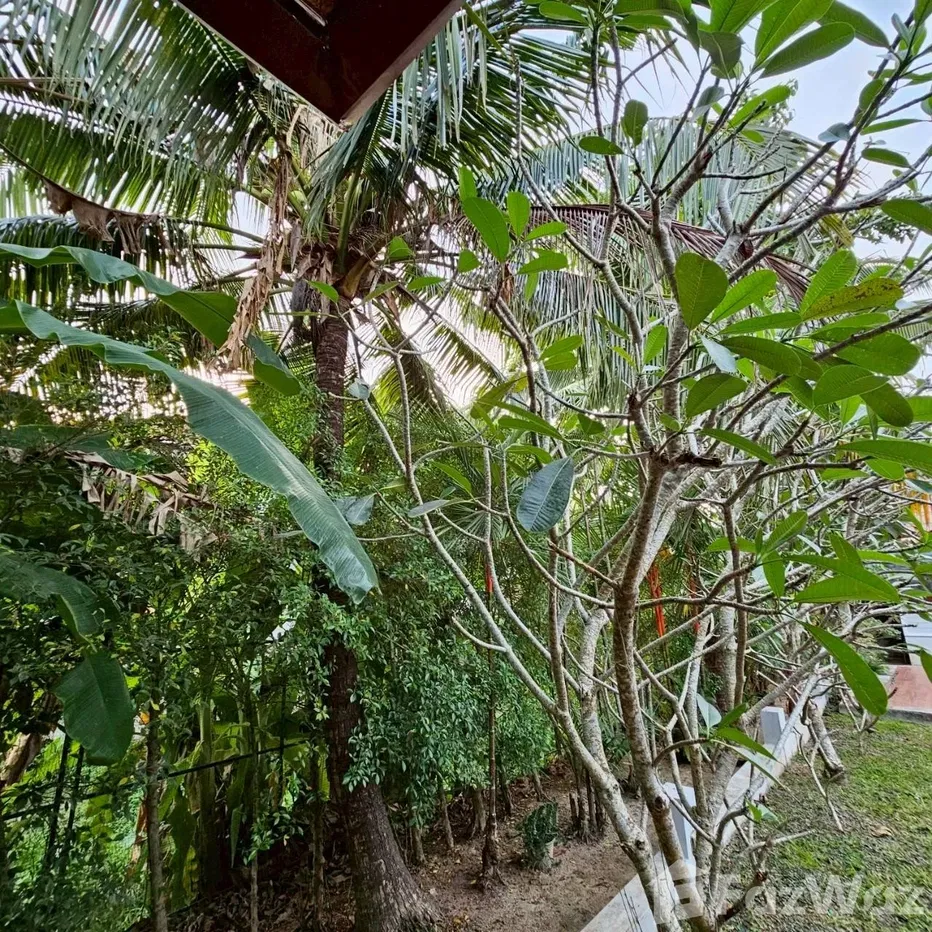 รูป วิลล่าให้เช่า 4 ห้องนอน ใน ฉลอง, ภูเก็ต 5676254 - รูปที่ 18/29