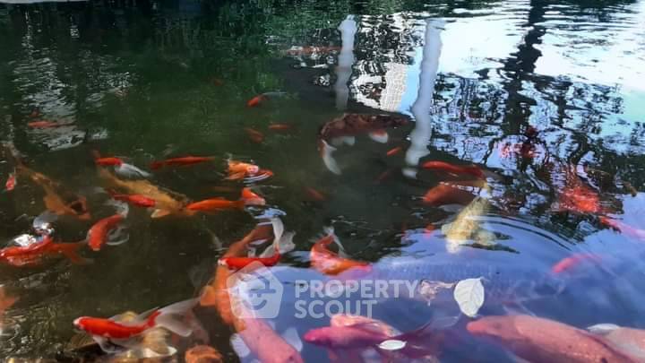 รูป คอนโด 1-ห้องนอน ที่ เดอะ รูม สุขุมวิท 62 ใกล้ BTS ปุณณวิถี (ID 1074039) - รูปที่ 7/7