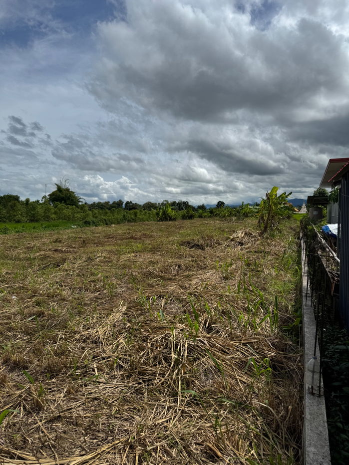 รูป ขายที่ดินเชียงราย ที่ดินเวียงป่าเป้า ที่ดินบ้านโป่ง บ้านสันหลวง 1ไร่ - รูปที่ 8/9