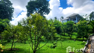 บ้านเดี่ยว สุราษฎร์ธานี : ขาย บ้านเดี่ยว 9 ห้องนอน ใน มะเร็ต, สุราษฎร์ธานี 5552285