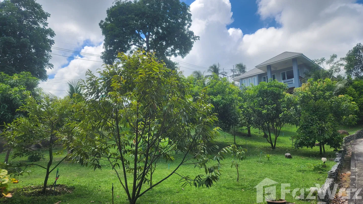 picture 9 Bedroom House for sale in Maret, Surat Thani  5552285 - 1/21