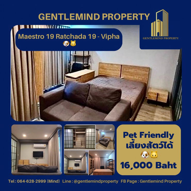 รูป ☀️💎🌍 Rent : Maestro 19 Ratchada 19-Vipha Pet Friendly เลี้ยงสัตว์ได้ 🐶🐱 | Gentlemind Property  - รูปที่ 1/10