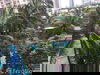 listing thumbnail image 11