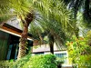 listing thumbnail image 35