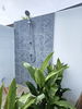 listing thumbnail image 26