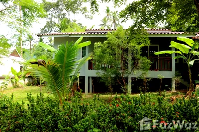 Houses for rent Surat Thani : 2 Bedroom House for rent in Maret, Surat Thani  1024926