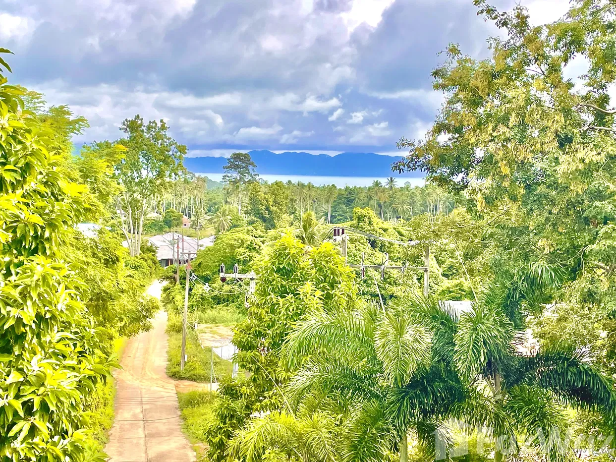 รูป วิลล่าให้เช่า 4 ห้องนอน ใน แม่น้ำ, สุราษฎร์ธานี 1930480 - รูปที่ 7/23