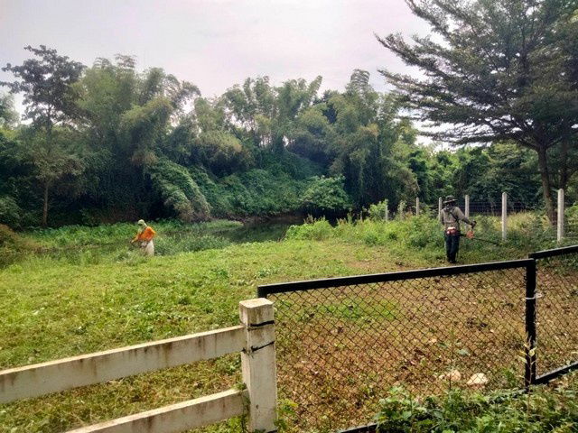 รูป ขายที่ดินติดแม่น้ำเพชรบุรี 1 ไร่  67 ตารางวา ทำเลธรรมชาติ   เพชรบุรี - รูปที่ 4/6