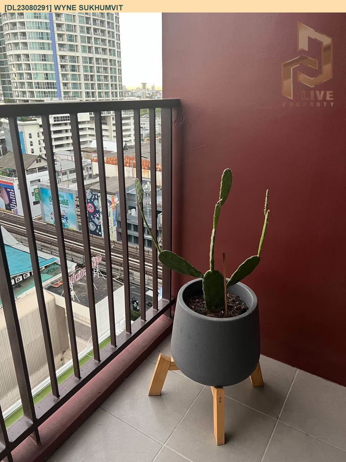 รูป DL23080291 ขายคอนโด วายน์ สุขุมวิท (WYNE Sukhumvit) ใกล้ BTS พระโขนง พร้อมเข้าอยู่ โทรด่วน 0800343450 LineID @655ebbvc - รูปที่ 5/8
