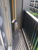 listing thumbnail image 10