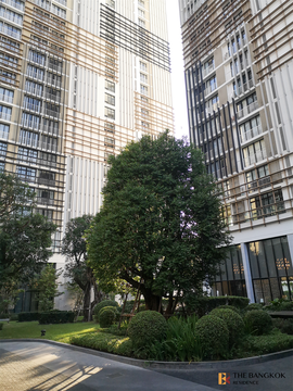 Park 24  Premium Unit Close to All Conveniences