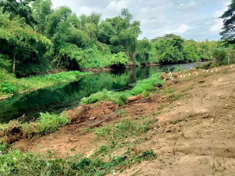 ขายที่ดินติดแม่น้ำเพชรบุรี 1 ไร่  67 ตารางวา ทำเลธรรมชาติ   เพชรบุรี