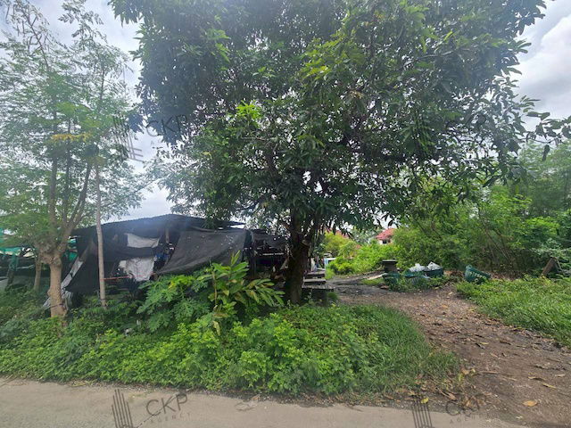picture Vacant land in Soi Panthongniwet 1, Lam Luk Ka-Pathum, size 200 sq wa, near Lam Luk Ka Road, near shopping malls - 4/10