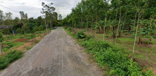 รูป ที่ดินพร้อมสวนทุเรียน ขนาด 4 ไร่ 127.1 ตร.วา สามารถดำเนินกิจการต่อได้ทันที ต.สองสลึง อ.แกลง ระยอง - รูปที่ 2/12