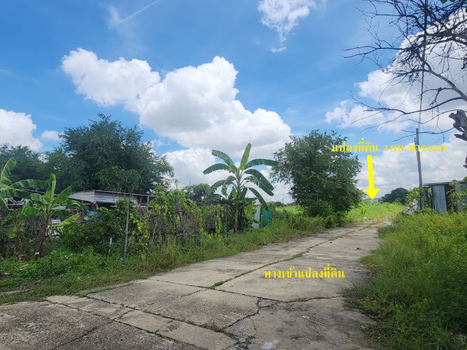 picture Land for Sale 100 sq.wah – Bang Bua Thong, Nonthaburi    Rare Asset for Investor & Home Builder Square-shaped land plot 100 sq.wah  - 4/11