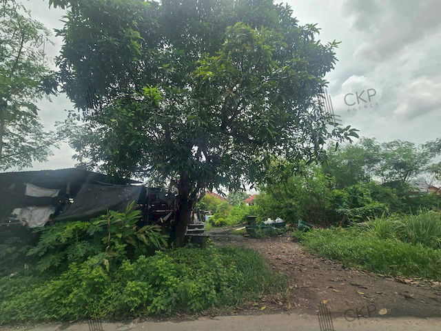 picture Vacant land in Soi Panthongniwet 1, Lam Luk Ka-Pathum, size 200 sq wa, near Lam Luk Ka Road, near shopping malls - 7/10