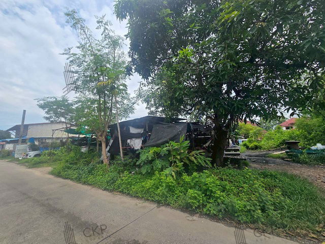 picture Vacant land in Soi Panthongniwet 1, Lam Luk Ka-Pathum, size 200 sq wa, near Lam Luk Ka Road, near shopping malls - 5/10